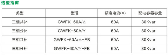 GWFK-60A�������܏�(f��)���_�P(gu��n)��̖(h��o)�f(shu��)��